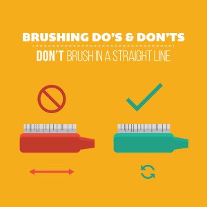 brushing how to