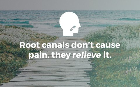 root canals